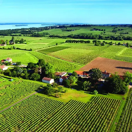 Chateau Xixeme Au Coeur Des Vignes Ideal Groupes Σπίτι διακοπών Villeneuve (Gironde)